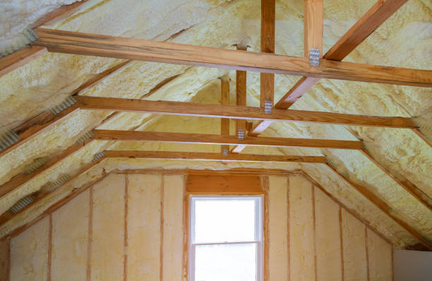 Trusted Coal Grove, OH Insulation Contractor Experts